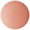 DECORTE Powder Blush Set