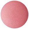 DECORTE Powder Blush Set