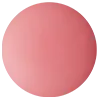 DECORTE Powder Blush Set