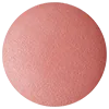DECORTE Powder Blush Set