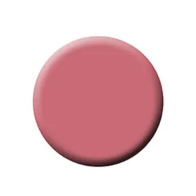 FIXX CREME BLUSH REFILL PANS