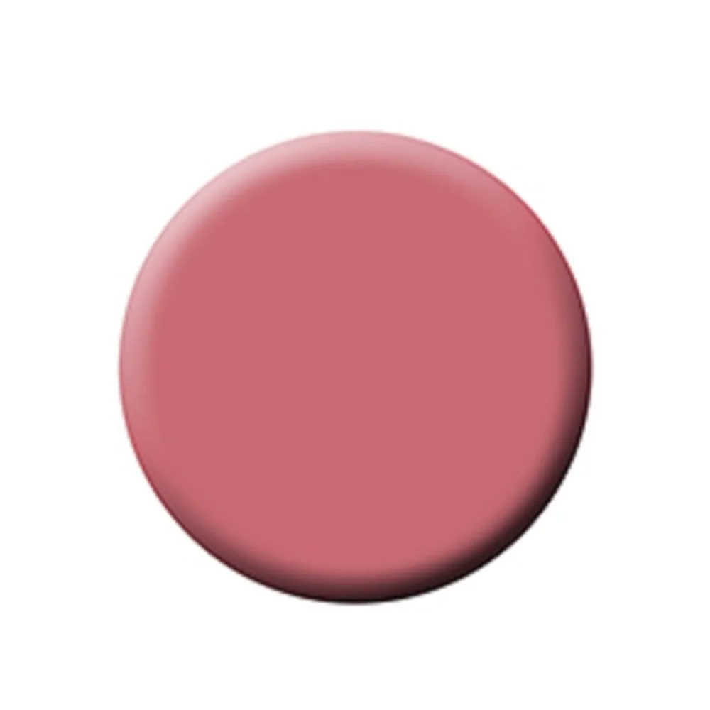 FIXX CREME BLUSH REFILL PANS