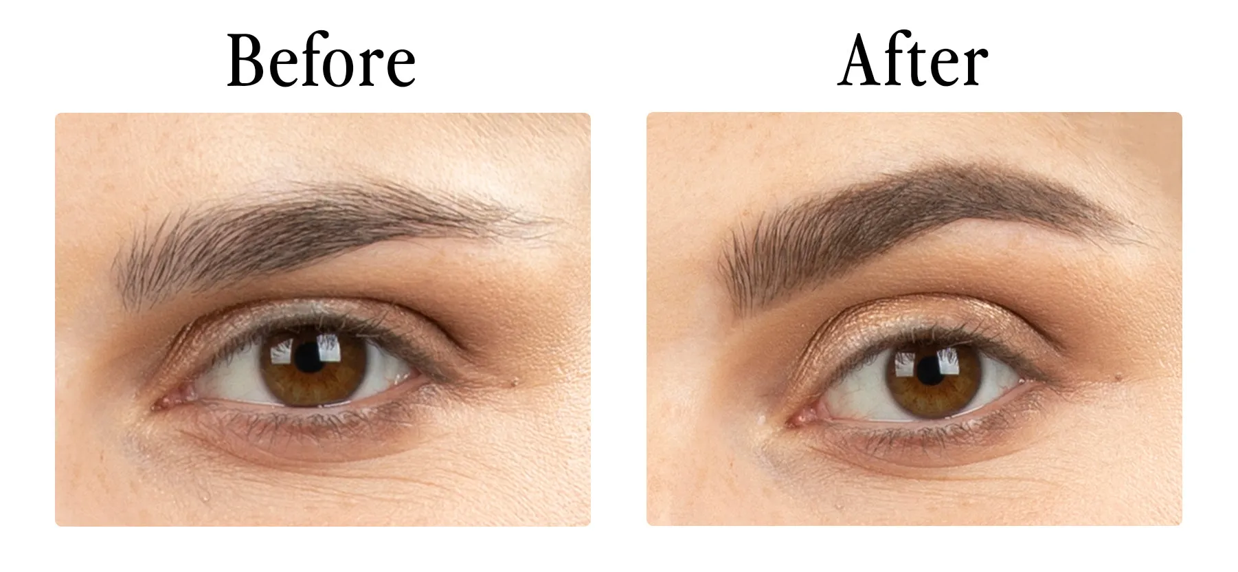 Magnetic Universal Brow Pencil